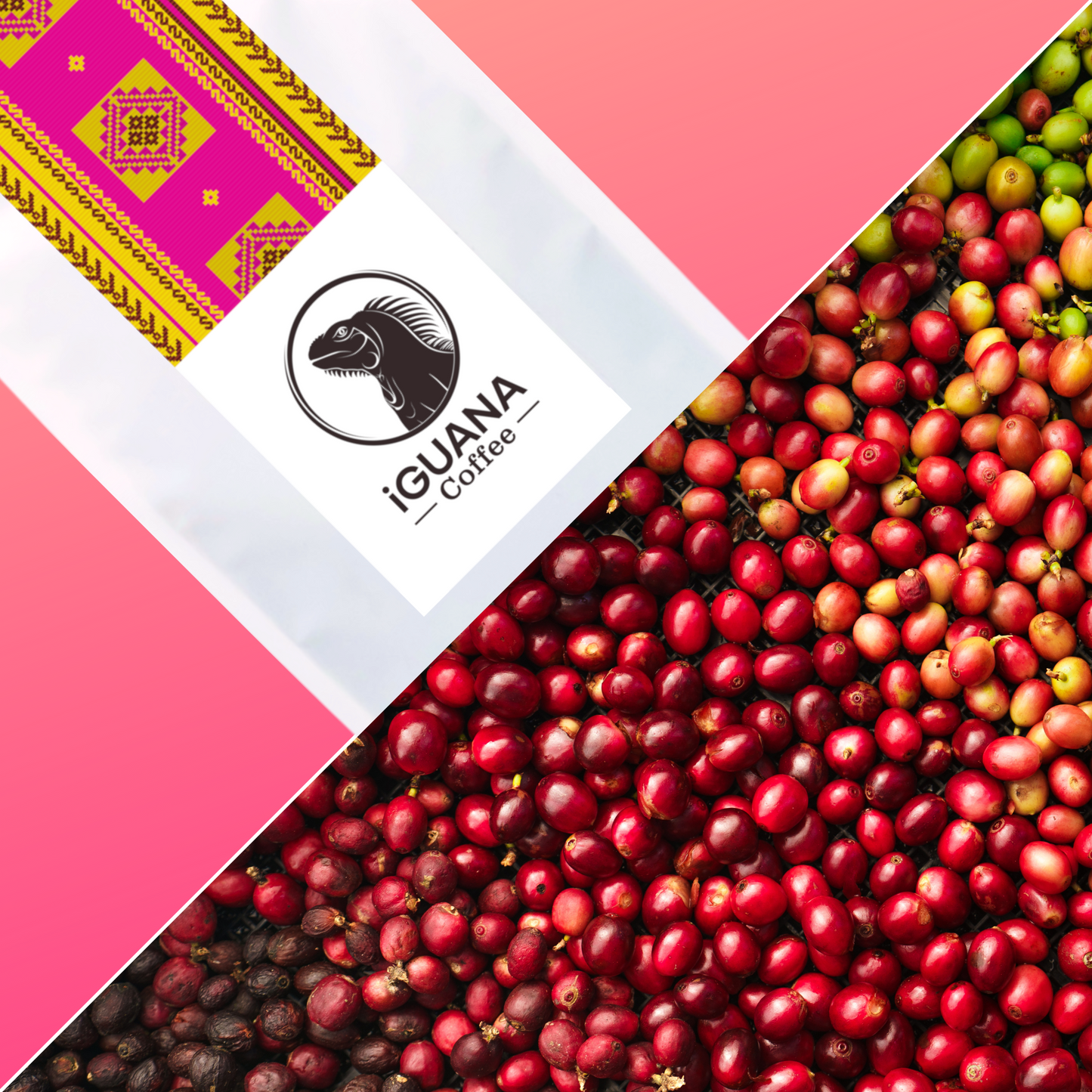 Esmeralda iGUANA Coffee - Filter 250g