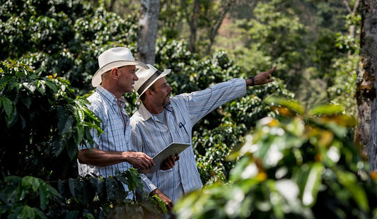 Role of Coffee Producers & Local Communities