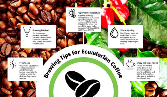 Brewing Tips for Ecuadorian Coffee Beans