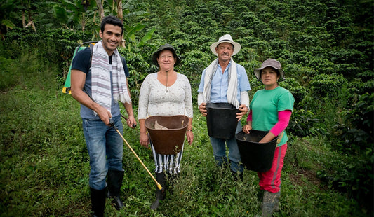 Origins of Ecuadorian Coffee