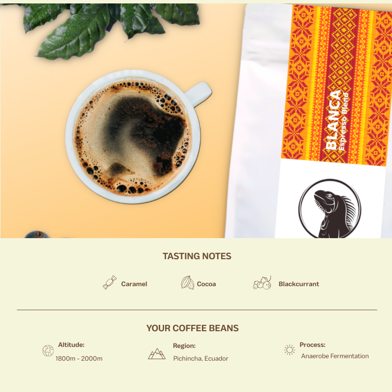 Blanca iGUANA Coffee - Espresso 250g